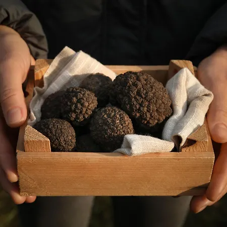 Rokvilla By Interhome * Motovun