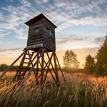 Prázdninový dům Rokvilla By Interhome Motovun